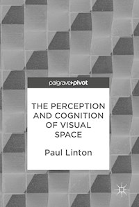 The Perception and Cognition of Visual Space - Paul Linton - E-Book