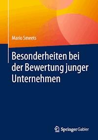 Besonderheiten bei der Bewertung junger Unternehmen - Mario Smeets - E-Book