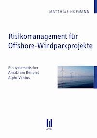 Risikomanagement für Offshore-Windparkprojekte - Matthias Hofmann - E-Book