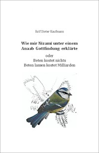 Wie mir Nîzamî unter einem Anaab Gottfindung erklärte - Rolf Dieter Kaufmann - E-Book