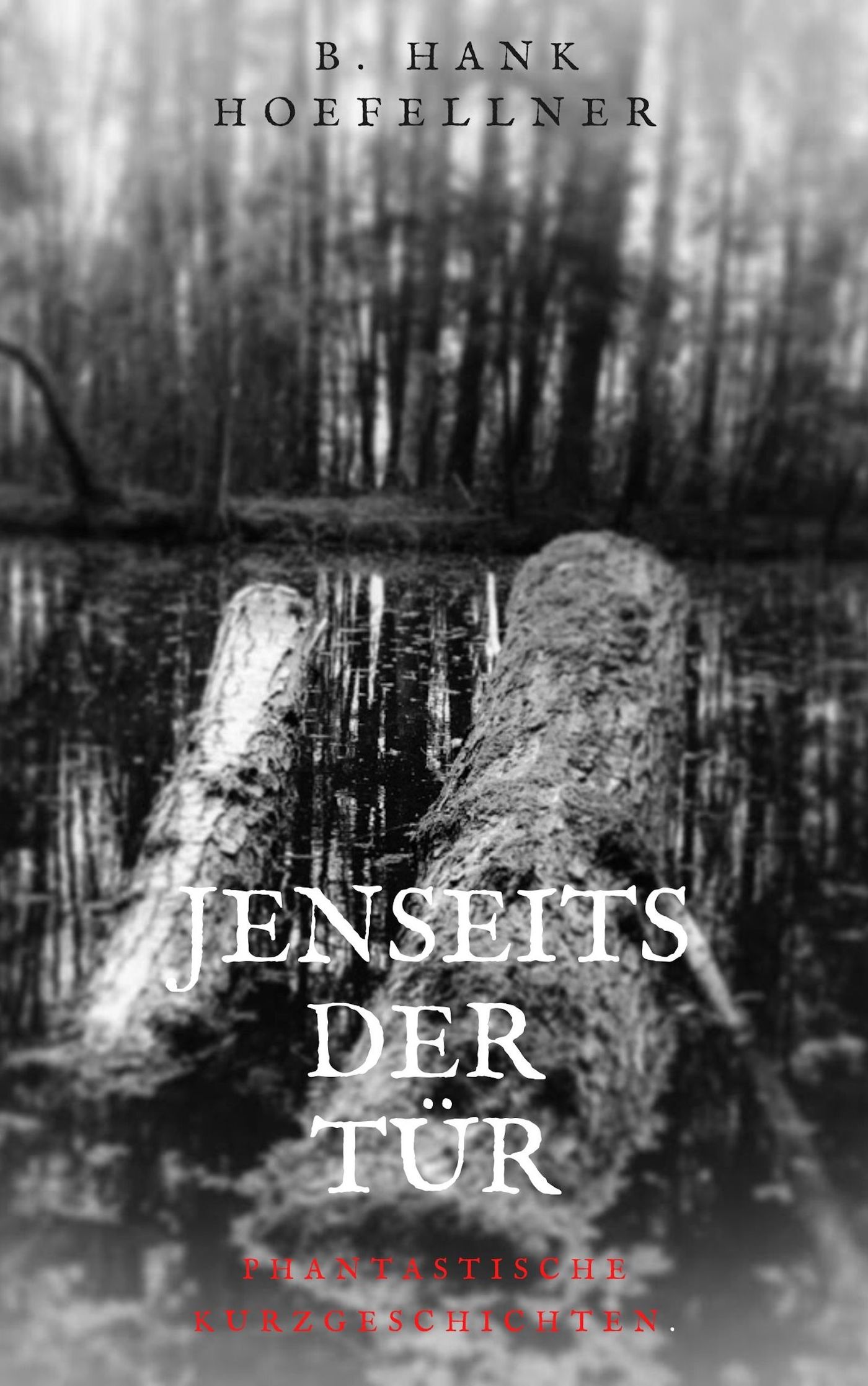Jenseits der Tür - Bernhard Höfellner - E-Book