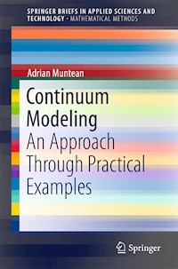 Continuum Modeling - Adrian Muntean - E-Book