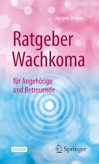 Ratgeber Wachkoma - Jürgen Drebes - E-Book