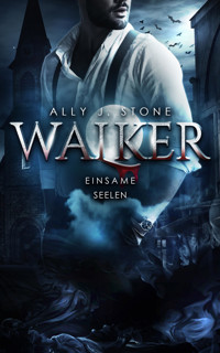 Einsame Seelen - Ally J. Stone - E-Book