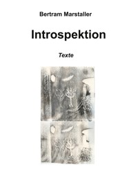 Introspektion - Bertram Marstaller - E-Book