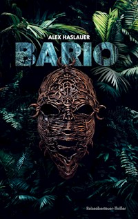 Bario - Alex Haslauer - E-Book
