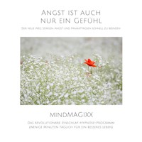 Angst ist auch nur ein Gefühl: Der neue Weg, Sorgen, Angst und Panikattacken schnell zu beenden - Patrick Lynen - Hörbuch