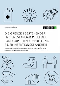 Die Grenzen bestehender Hygienestandards bei der pandemischen Ausbreitung einer Infektionskrankheit - Susann Grämer - E-Book