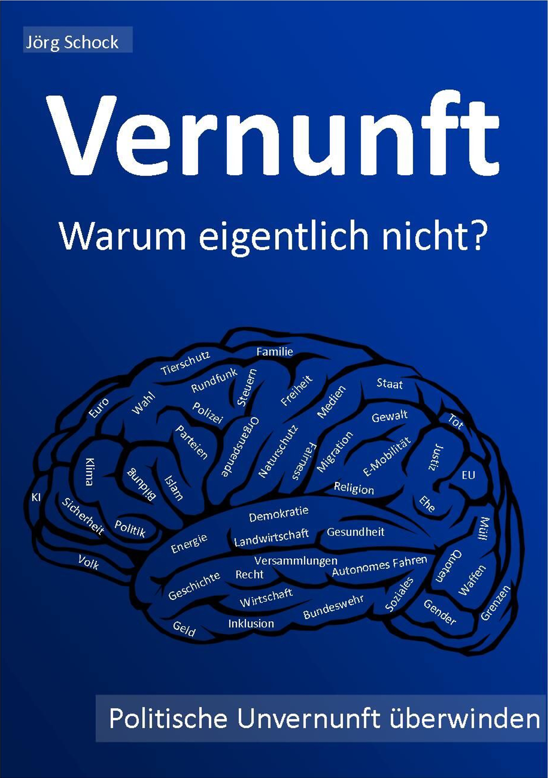 Vernunft - warum eigentlich nicht? - Jörg Schock - E-Book