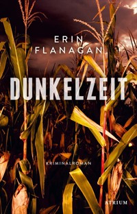 Dunkelzeit - Erin Flanagan - E-Book