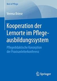 Kooperation der Lernorte im Pflegeausbildungssystem - Verena Briese - E-Book