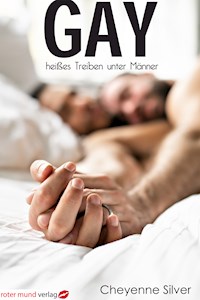 Gay - heißes Treiben unter Männern - Cheyenne Silver - E-Book