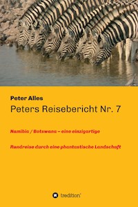 Peters Reisebericht Nr. 7 - Peter Alles - E-Book