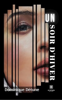 Un soir d'hiver - Dominique Détune - E-Book
