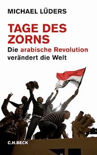 Tage des Zorns - Michael Lüders - E-Book