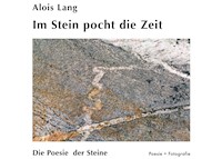 Im Stein pocht die Zeit - Alois Lang - E-Book