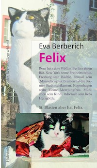 Felix - Eva Berberich - E-Book