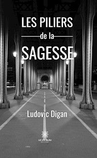 Les piliers de la sagesse - Ludovic Digan - E-Book