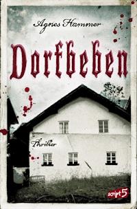 Dorfbeben - Agnes Hammer - E-Book