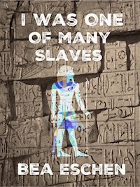 I Was One Of Many Slaves - Bea Eschen - E-Book