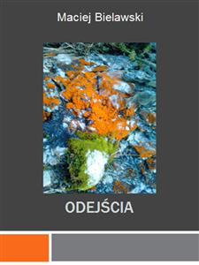 Odejscia - Maciej Bielawski - E-Book