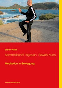 Sammelband Taijiquan  Sawah Kuen - Stefan Wahle - E-Book