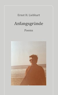 Anfangsgründe - Ernst H. Liebhart - E-Book