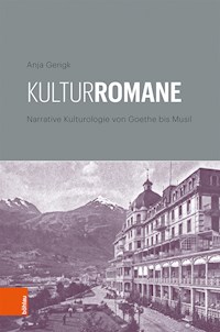 Kulturromane - Anja Gerigk - E-Book