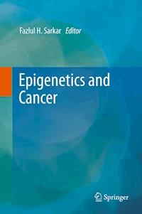 Epigenetics and Cancer -  - E-Book