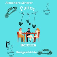 Panne - Alexandra Scherer - Hörbuch