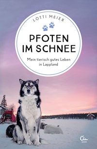 Pfoten im Schnee - Lotti Meier - E-Book