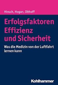 Erfolgsfaktoren Effizienz und Sicherheit - Martin Hinsch - E-Book