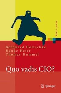 Quo vadis CIO? - Bernhard Holtschke - E-Book
