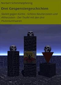 Drei Gespenstergeschichten - Norbert Schimmelpfennig - E-Book