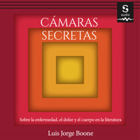 Cámaras secretas - Luis Jorge Boone - Hörbuch