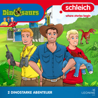 Folgen 05-06: Angriff aus der Luft - Antje Seibel - Hörbuch