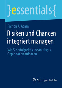 Risiken und Chancen integriert managen - Patricia A. Adam - E-Book
