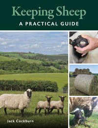 Keeping Sheep - Jack Cockburn - E-Book