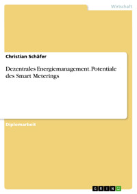 Dezentrales Energiemanagement. Potentiale des Smart Meterings - Christian Schäfer - E-Book