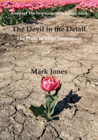 The Devil in the Detail - Mark Jones - E-Book