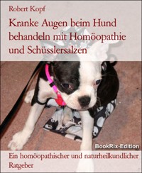 Kranke Augen beim Hund behandeln mit Homöopathie und Schüsslersalzen - Robert Kopf - E-Book