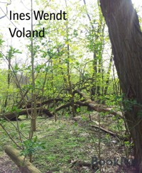 Voland - Ines Wendt - E-Book