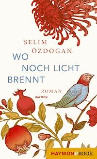 Wo noch Licht brennt - Selim Özdogan - E-Book