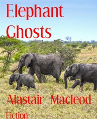 Elephant Ghosts - alastair macleod - E-Book