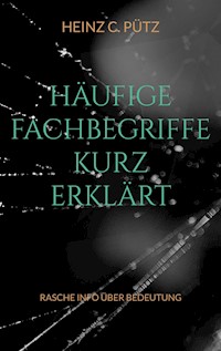 Häufige Fachbegriffe kurz erklärt - Heinz C. Pütz - E-Book