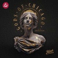 Gods of Chicago - J.T. Sheridan - Hörbuch