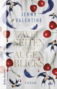 Zwei Seiten eines Augenblicks - Jenny Valentine - E-Book