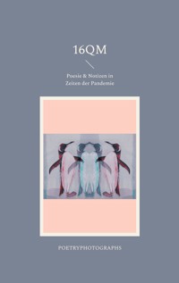 16qm - Tabea Ranzinger - E-Book