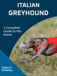 Italian Greyhound - Chloe H. O'Malley - E-Book
