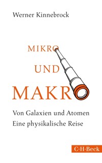 Mikro und Makro - Werner Kinnebrock - E-Book